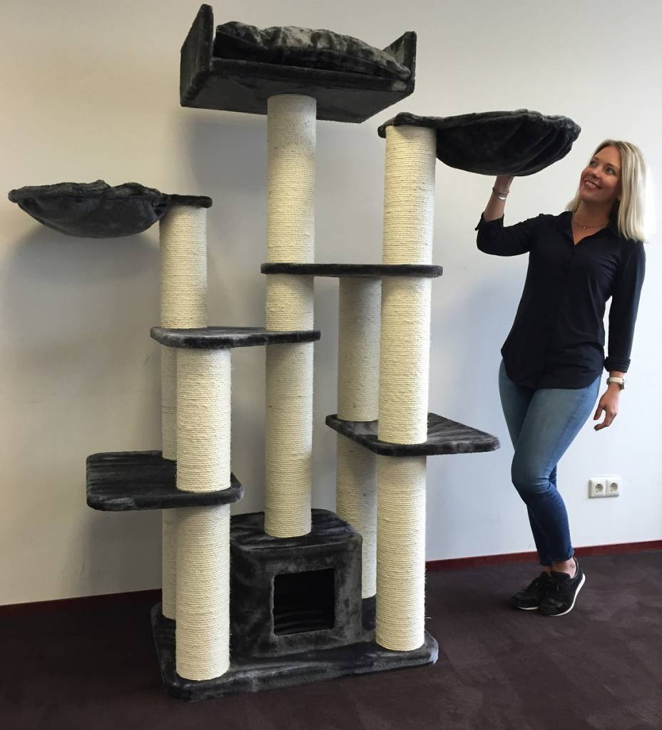 arbre a chat rhrquality